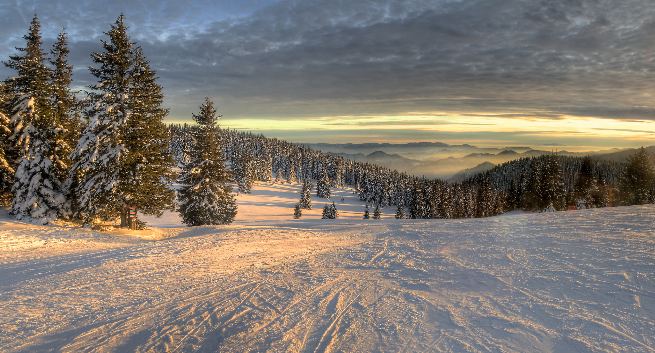 Learn to Ski Deal in Pamporovo, Bulgaria - Image 1
