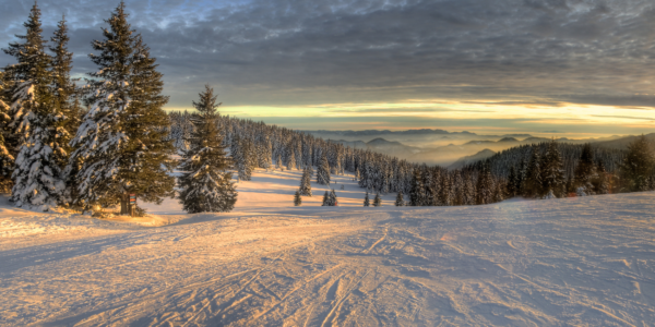 Learn to Ski Deal in Pamporovo, Bulgaria