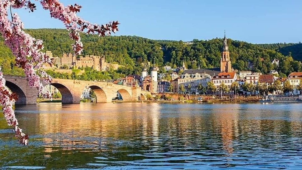 Summer Rhine River Cruise to Switzerland - Image 1