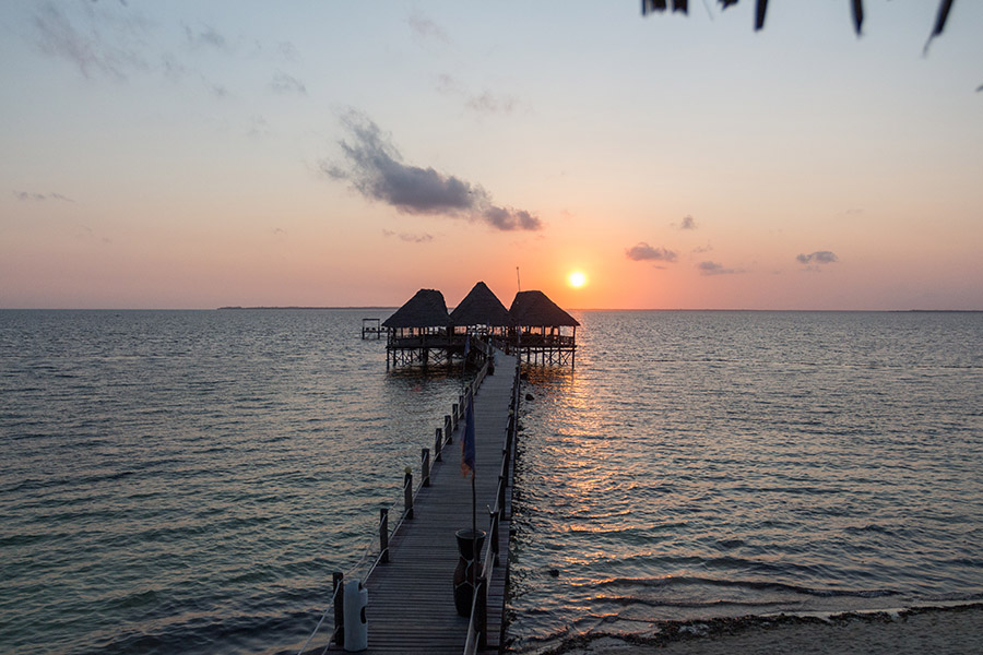 BRAND NEW NInja Destination: Zanzibar Tanzania - Image 4