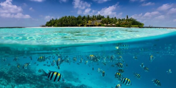Summer Island Maldives 5* Early Summer Hols