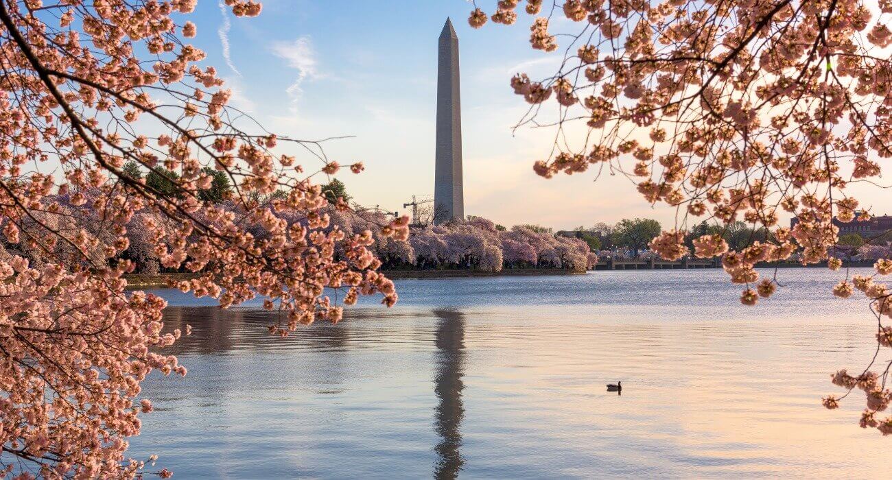 Early Spring City Break to Washington DC - Image 1
