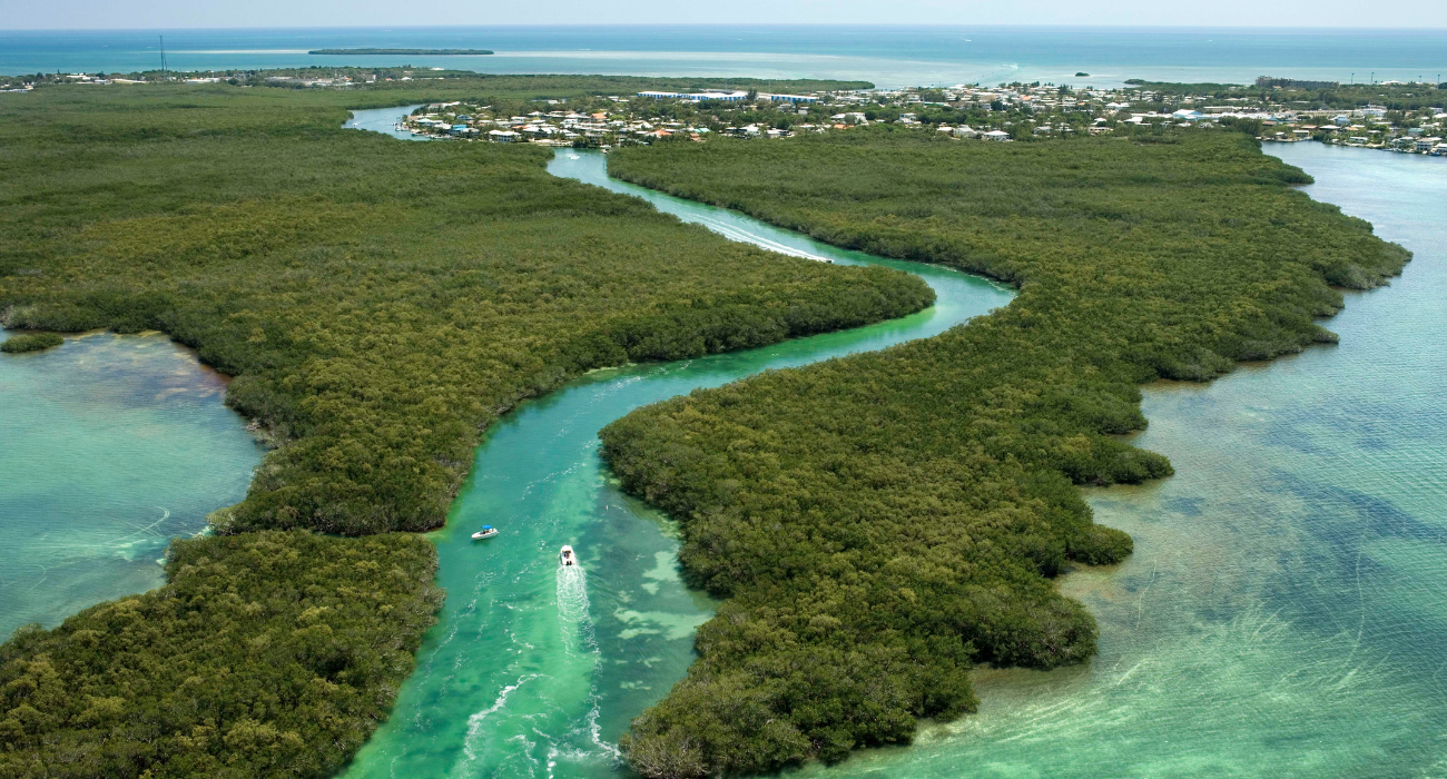 Florida Self-Drive – Miami, The Florida Keys & Orlando - Image 2