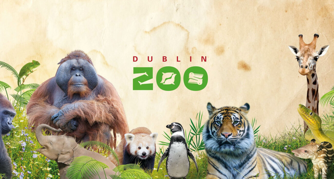 Dublin Zoo NInja Day Trip Offers - Image 1