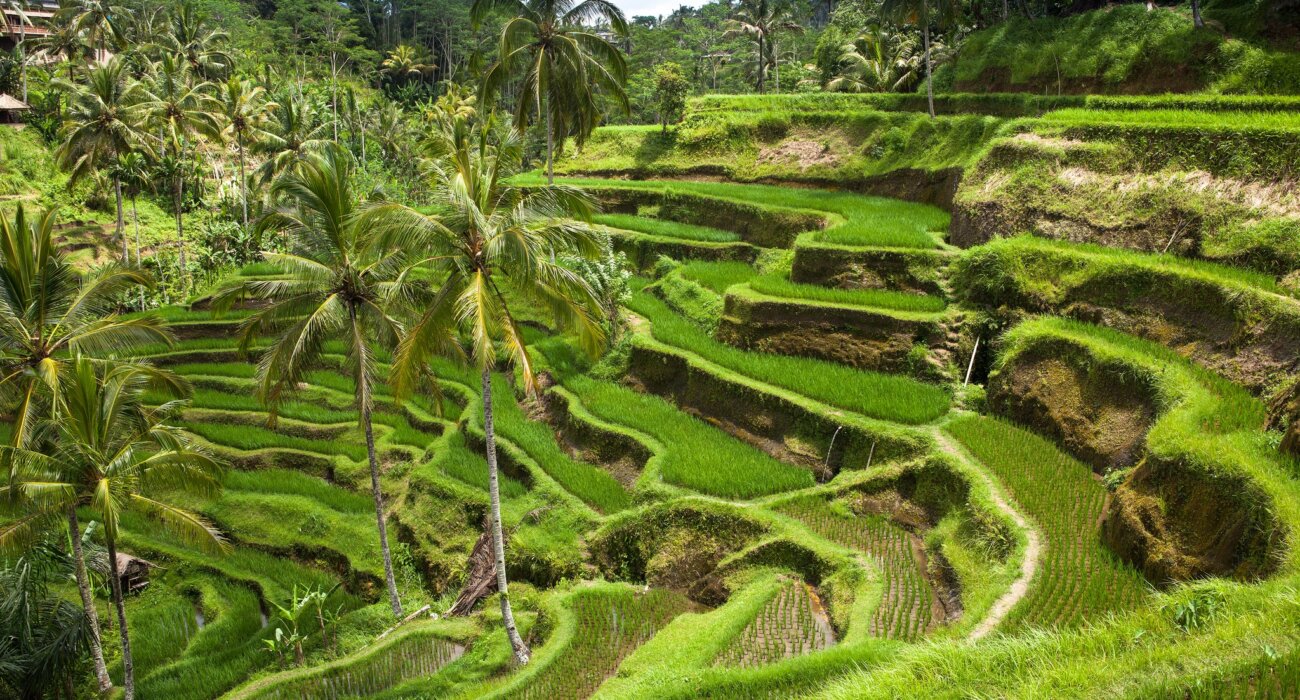 BALI Small Group Tour SALE NOW ON - Image 2