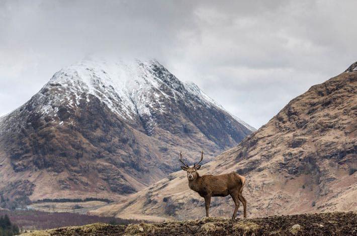 The Wild West – Scotlands Dramatic Coast - Image 4