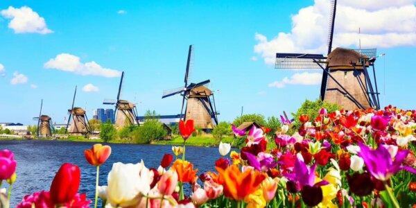 Solo Traveller – Amsterdam & Dutch River Cruise
