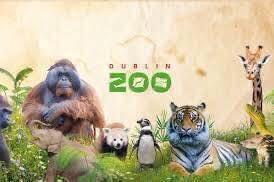 Dublin Zoo Ninja Day Trip Breaks 2023 - Image 1