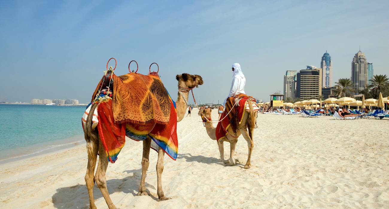 Stunning Dubai UAE and Cape Town South Africa - Image 7