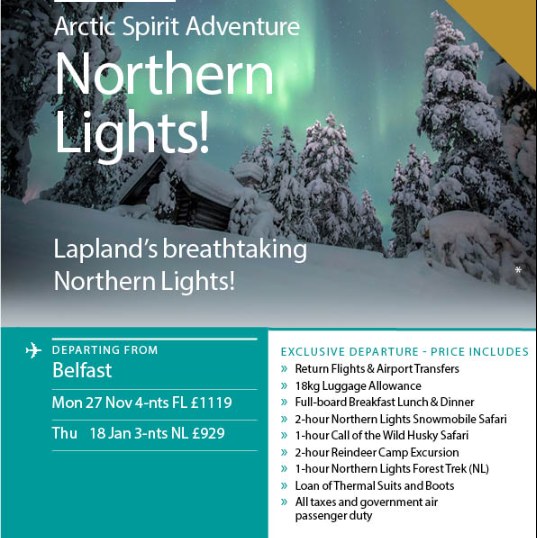 Lapland for Adults Late Year Bucket List Break - Image 2
