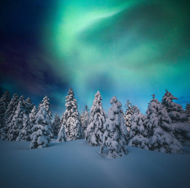 Lapland’s Breathtaking Northern Lights - Image 6