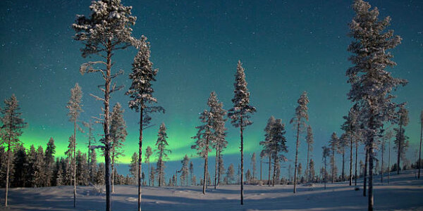 Lapland for Adults Late Year Bucket List Break