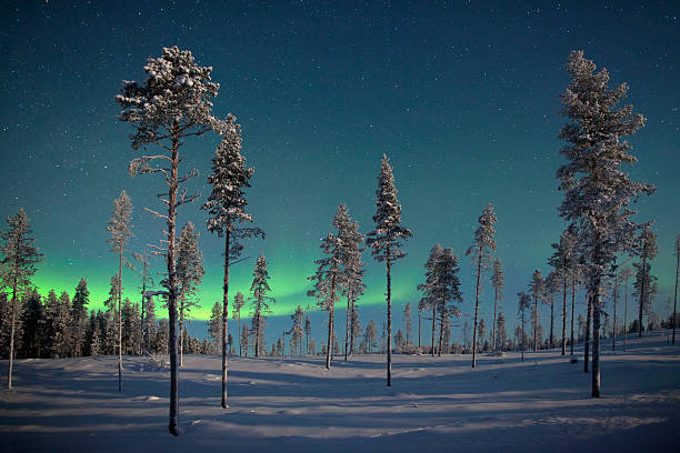 Lapland’s Breathtaking Northern Lights - Image 4