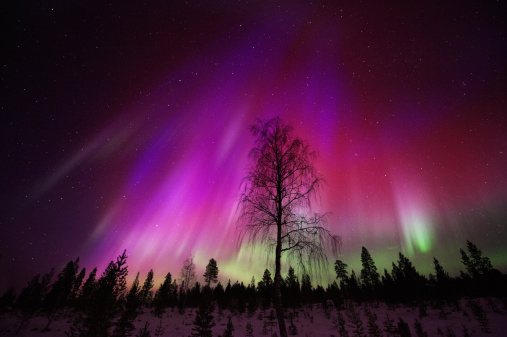Lapland’s Breathtaking Northern Lights - Image 5
