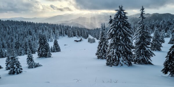 New Year Ski Bulgaria NInja Special