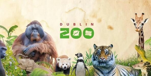 Summer NInja Day Trip to Dublin Zoo