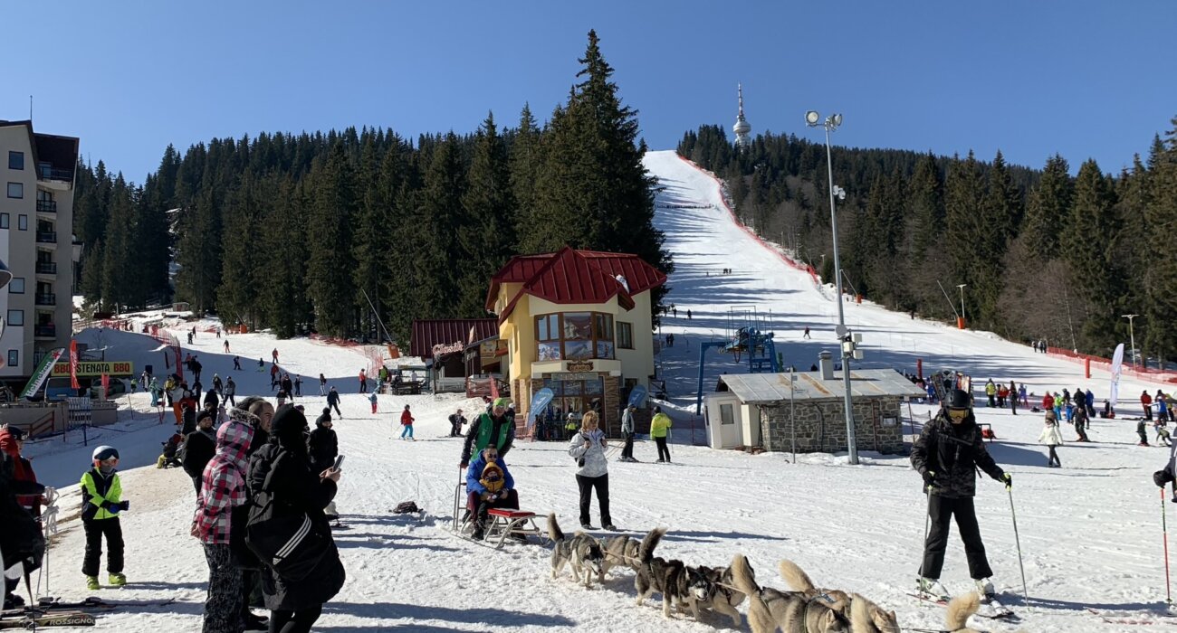 New Year Ski Pamporovo Bulgaria - Image 2