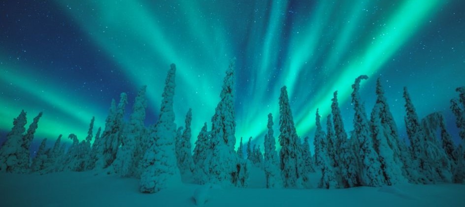 *NEW* Lapland 3 night NInja Break 2024 - Image 5