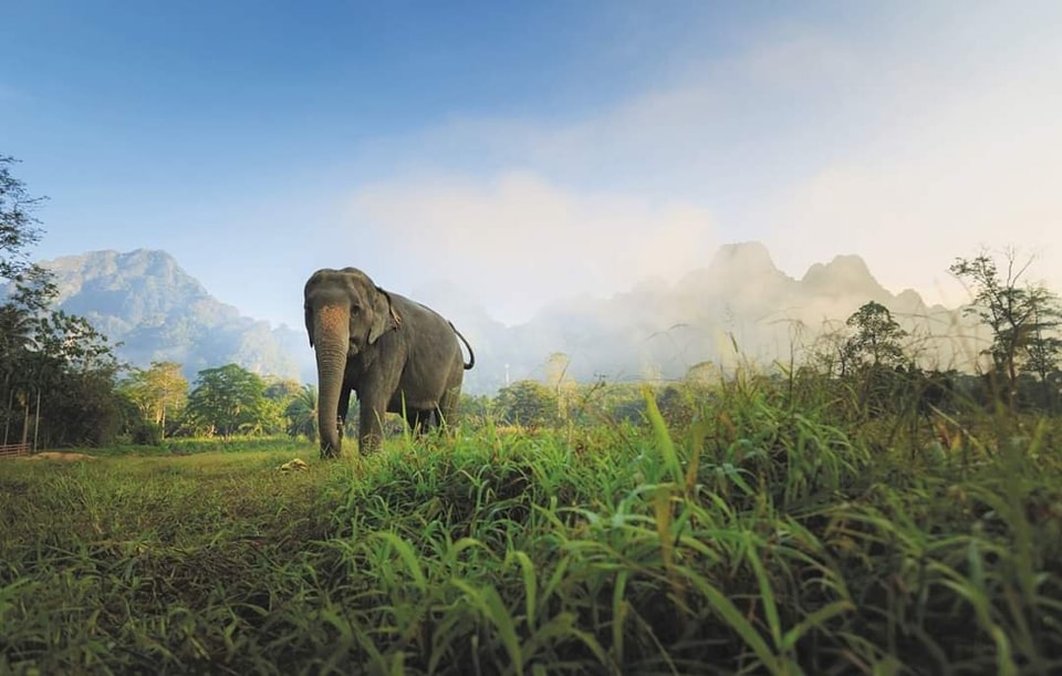 BUCKET LIST Thailand with Elephant Hills - Image 1