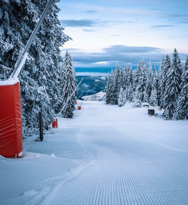 Make Next Year Your Ski Year in Pamporovo - Image 1