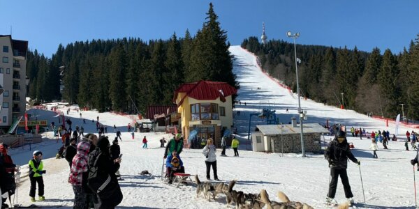 Ski Pamporovo 2025 EARLY BOOKERS