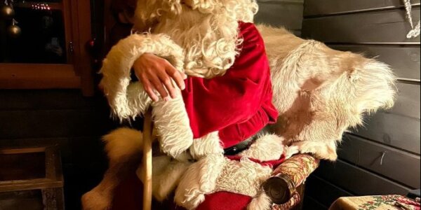 Santa Meet Lapland Day Trip – Price Reduced