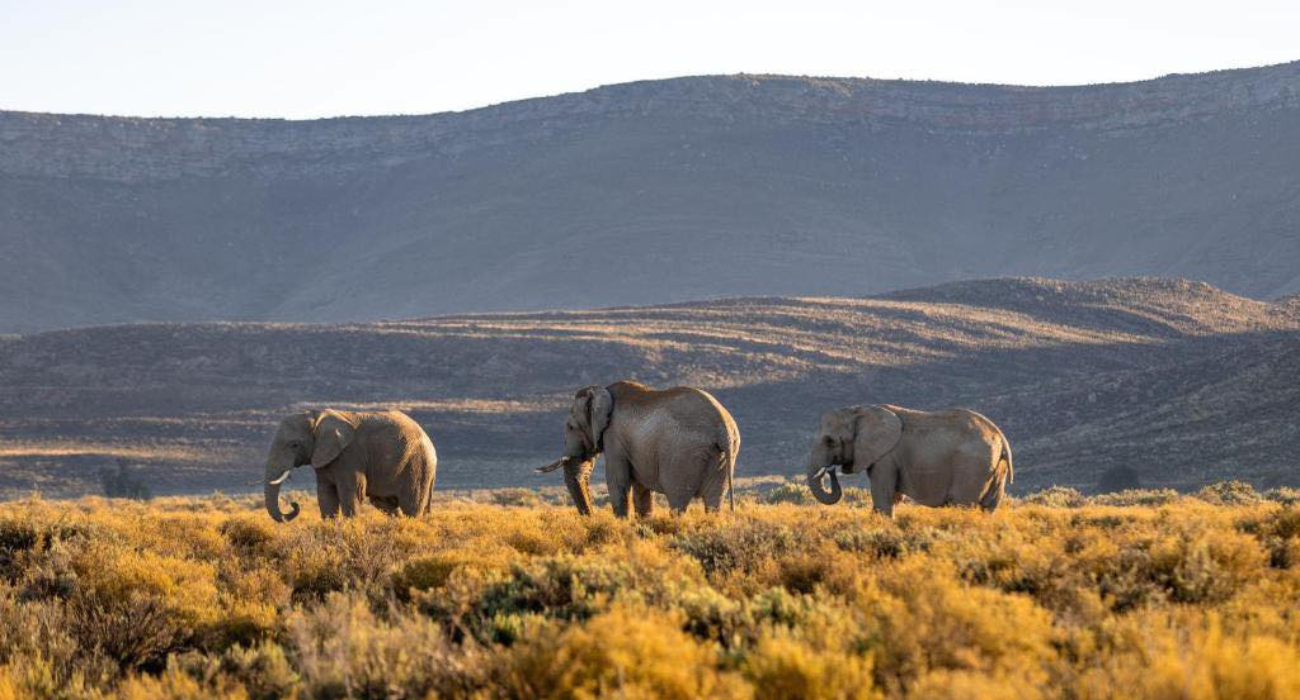 SOUTH AFRICA BUCKET LIST SELF-DRIVE - Image 3