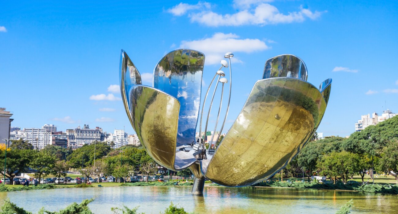 BRAZIL & ARGENTINA SOUTH AMERICA DUO - Image 7