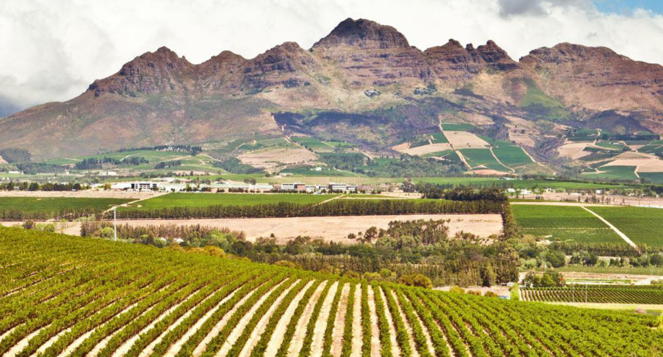 SOUTH AFRICA BUCKET LIST SELF-DRIVE - Image 8