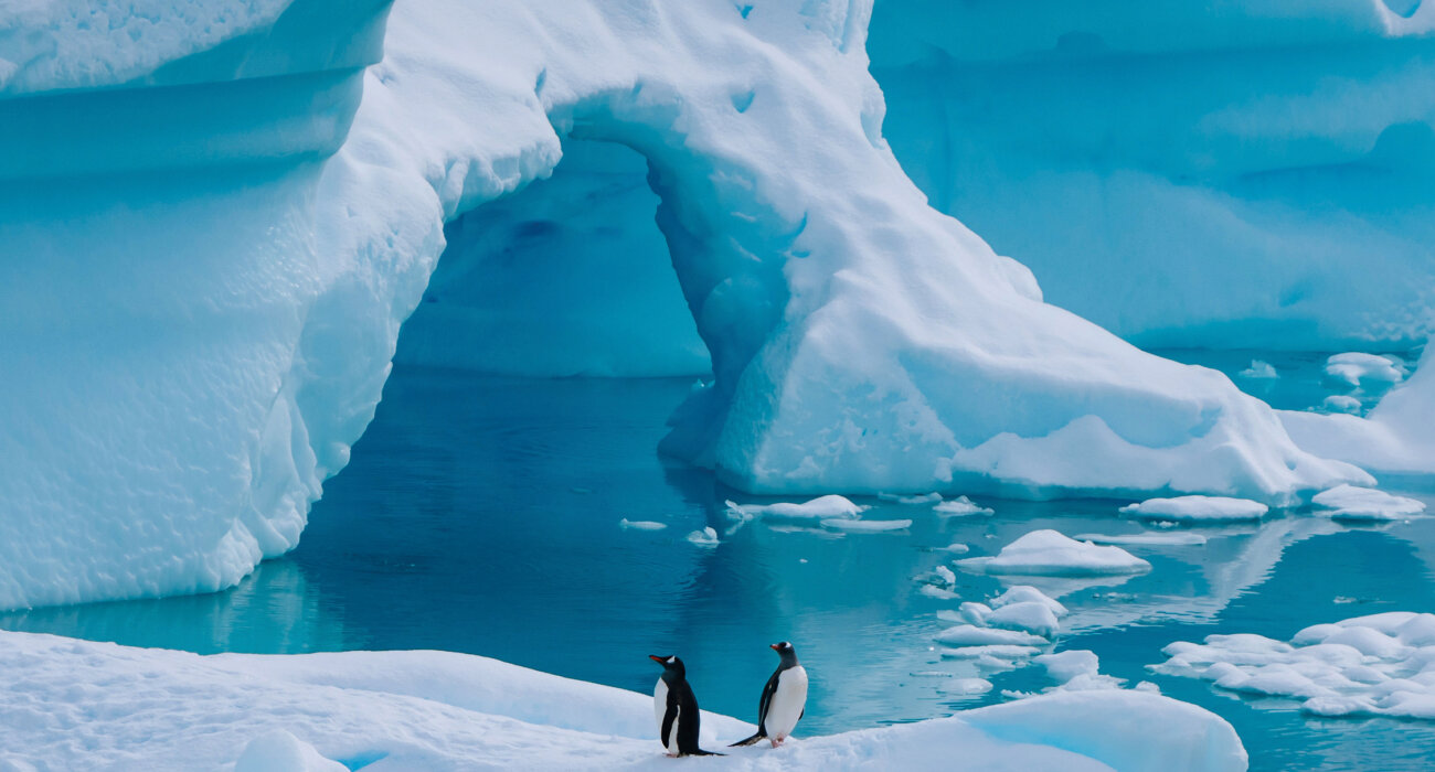 ANTARCTICA IN DEPTH Bucket List NInja Trip - Image 3