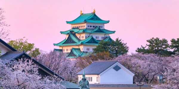Cherry Blossoms in Japan 2027 Cruise