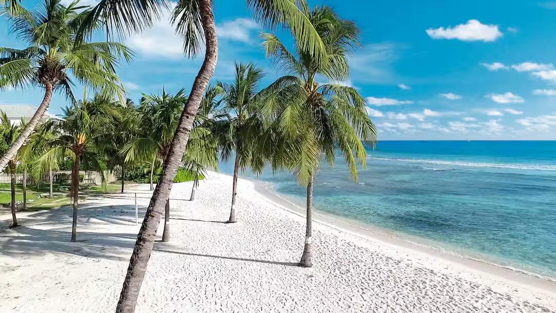 Dreaming of White Sands in Barbados Sunshine - Image 1
