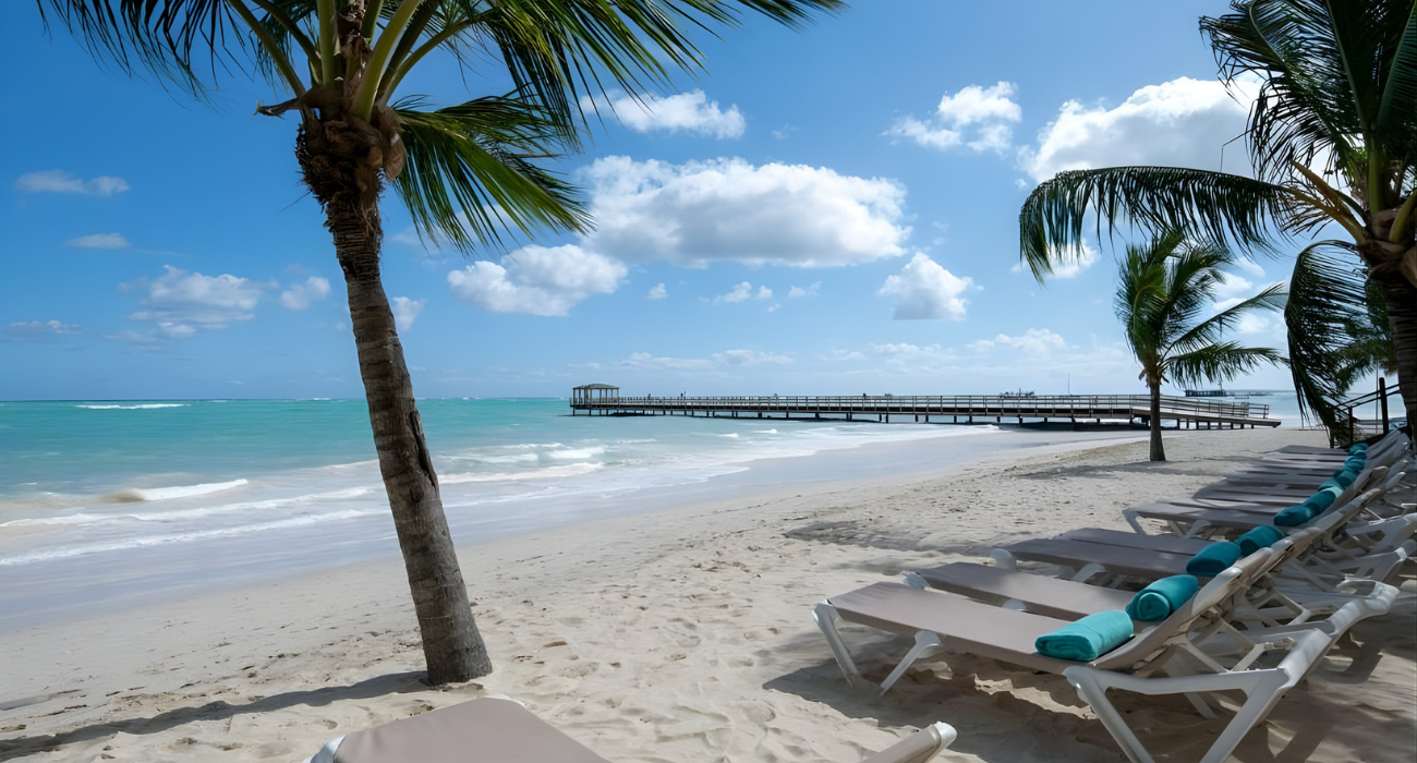 NEW YORK & PUNTA CANA NINJA TWIN CENTRE - Image 5