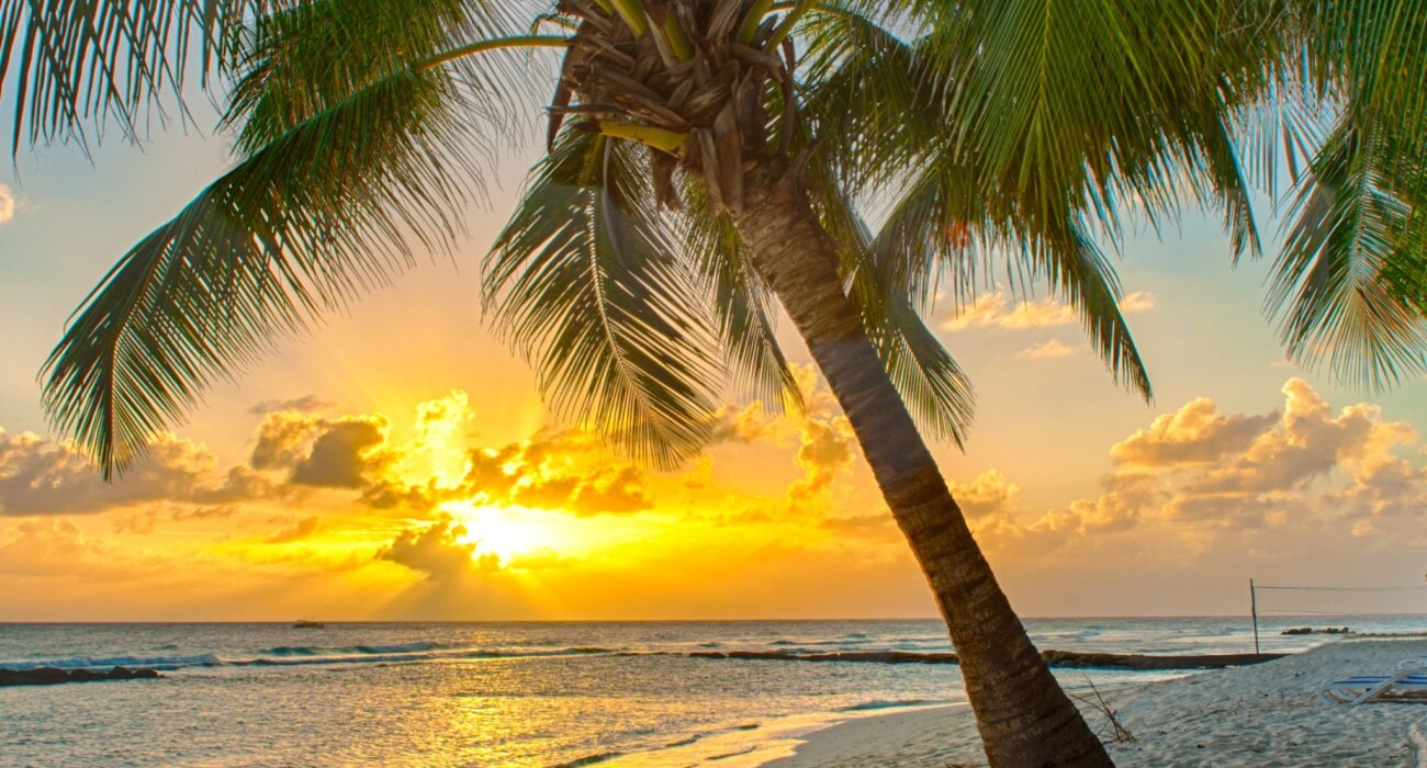 BARBADOS DIRECT FROM DUBLIN BARGAIN BREAK - Image 5