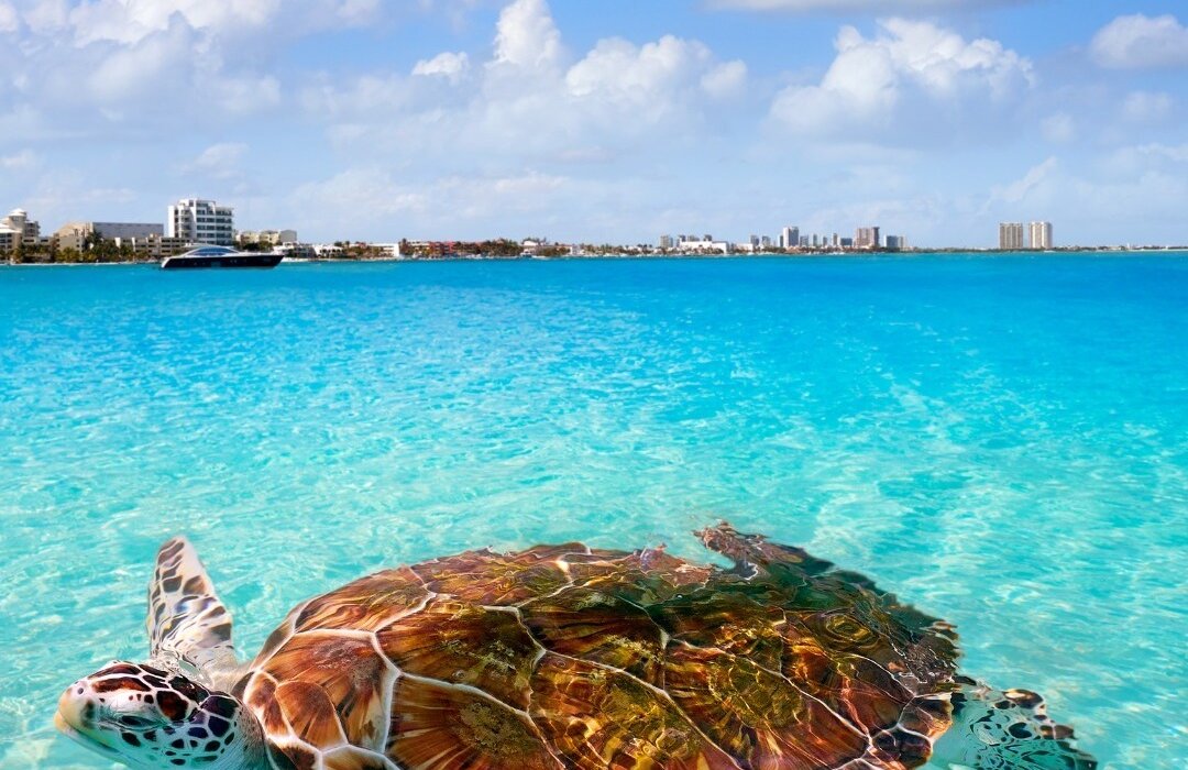 Summer Mexico Family Special Direct from Belfast - Image 1