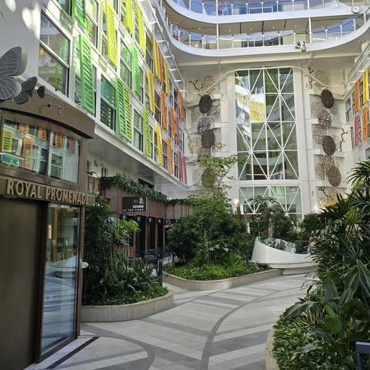 Holiday Like an ICON …. Miami and Caribbean - Image 6