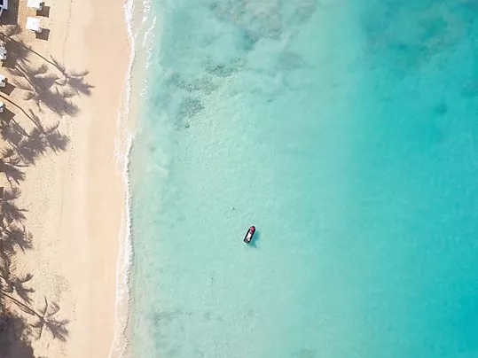 Dreaming of White Sands in Barbados Sunshine - Image 5