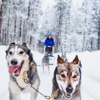 LAPLAND 2 NIGHT EARLY BOOKER 2027 - Image 5