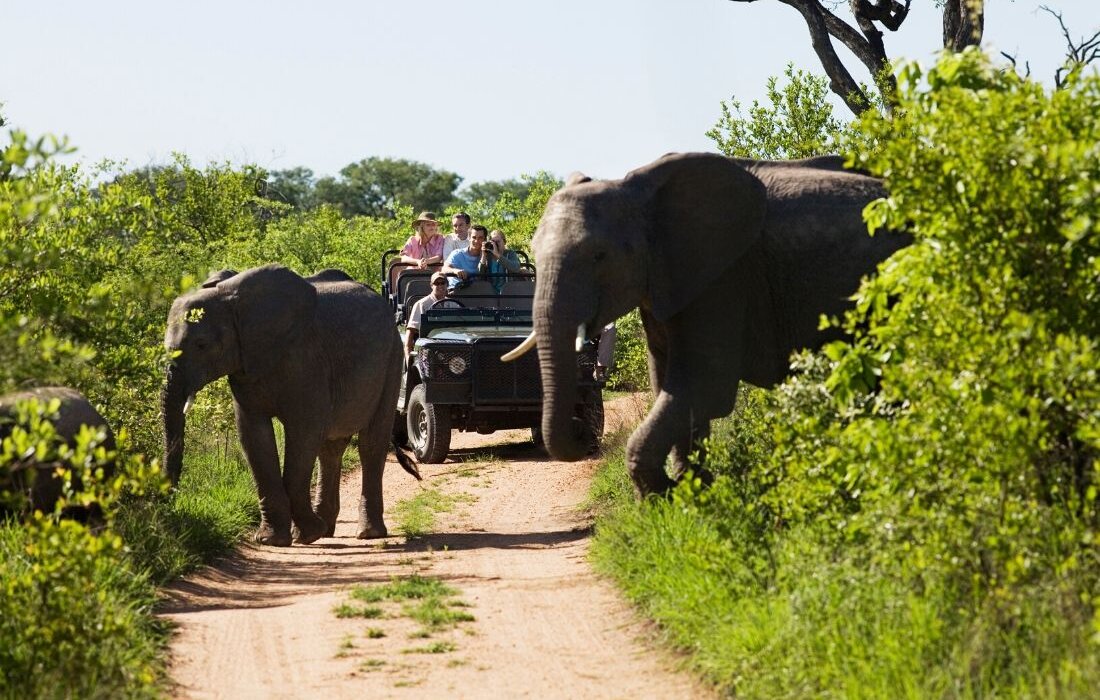 Cape Town, the Garden Route & Safari - Image 6