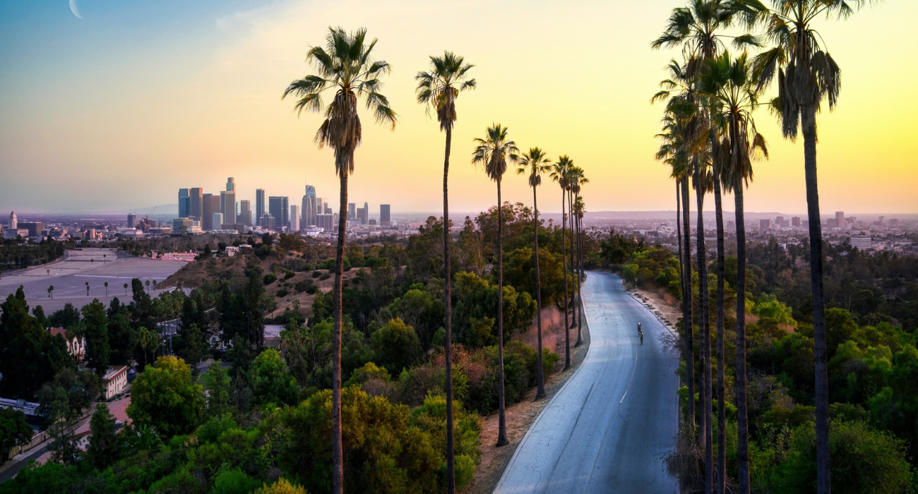 ORLANDO, MIAMI, LAS VEGAS & LOS ANGELES USA - Image 7