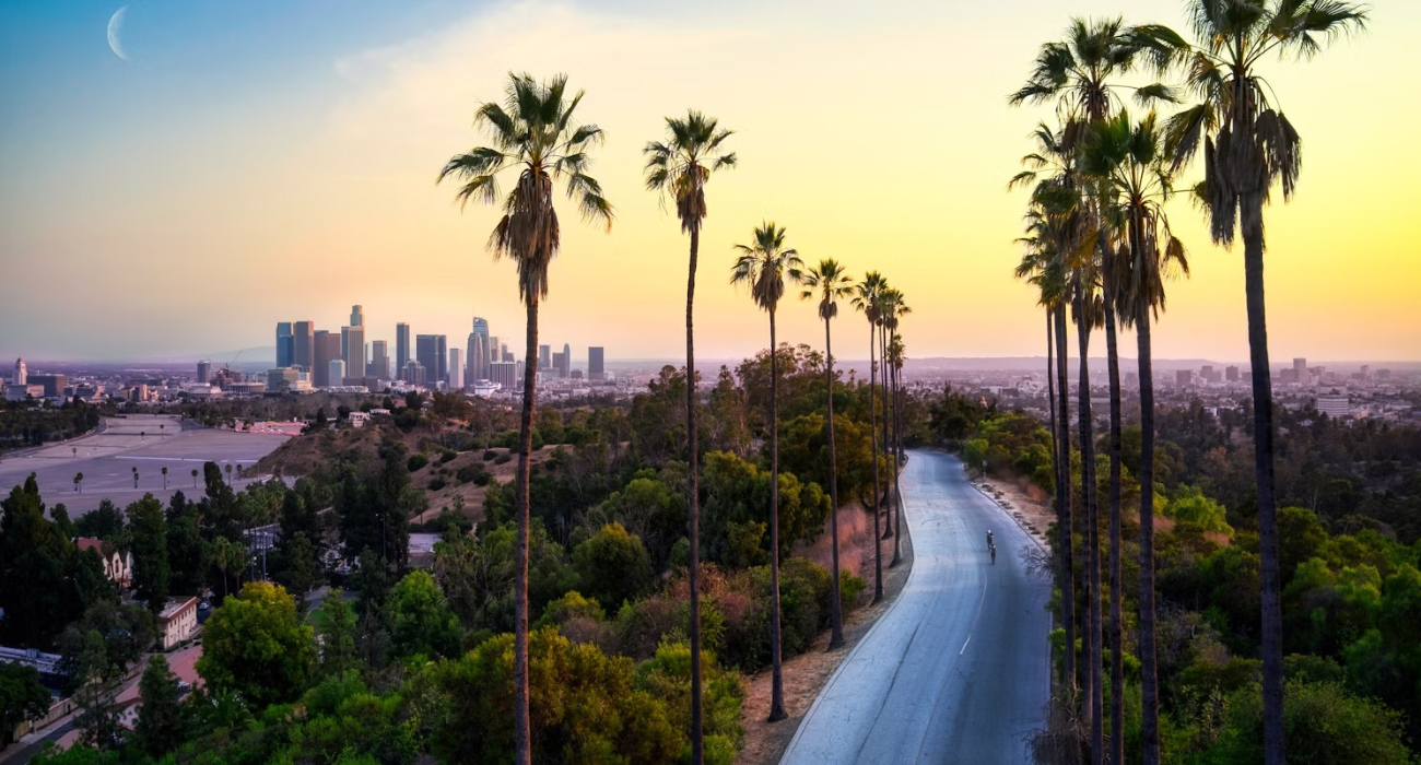 CALIFORNIA DREAMING USA TOUR - Image 7