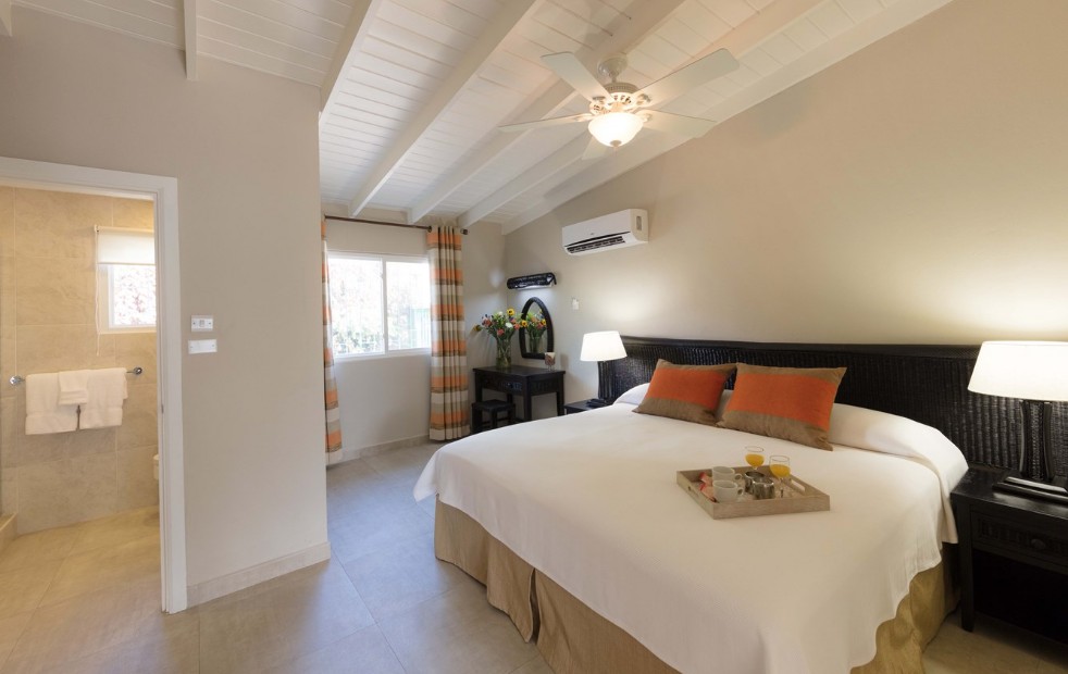 Early May Barbados Deal – DIRECT FLIGHTS - Image 5