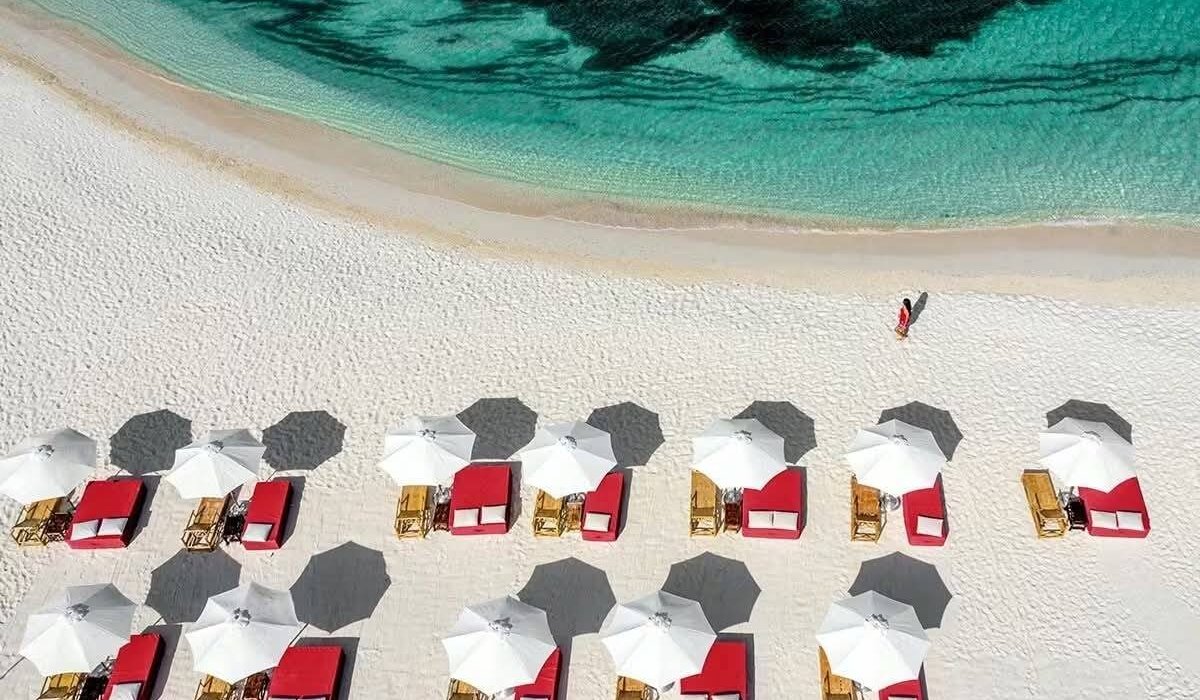 Las Vegas, Miami and Caribbean Cruise NInja Trio - Image 2