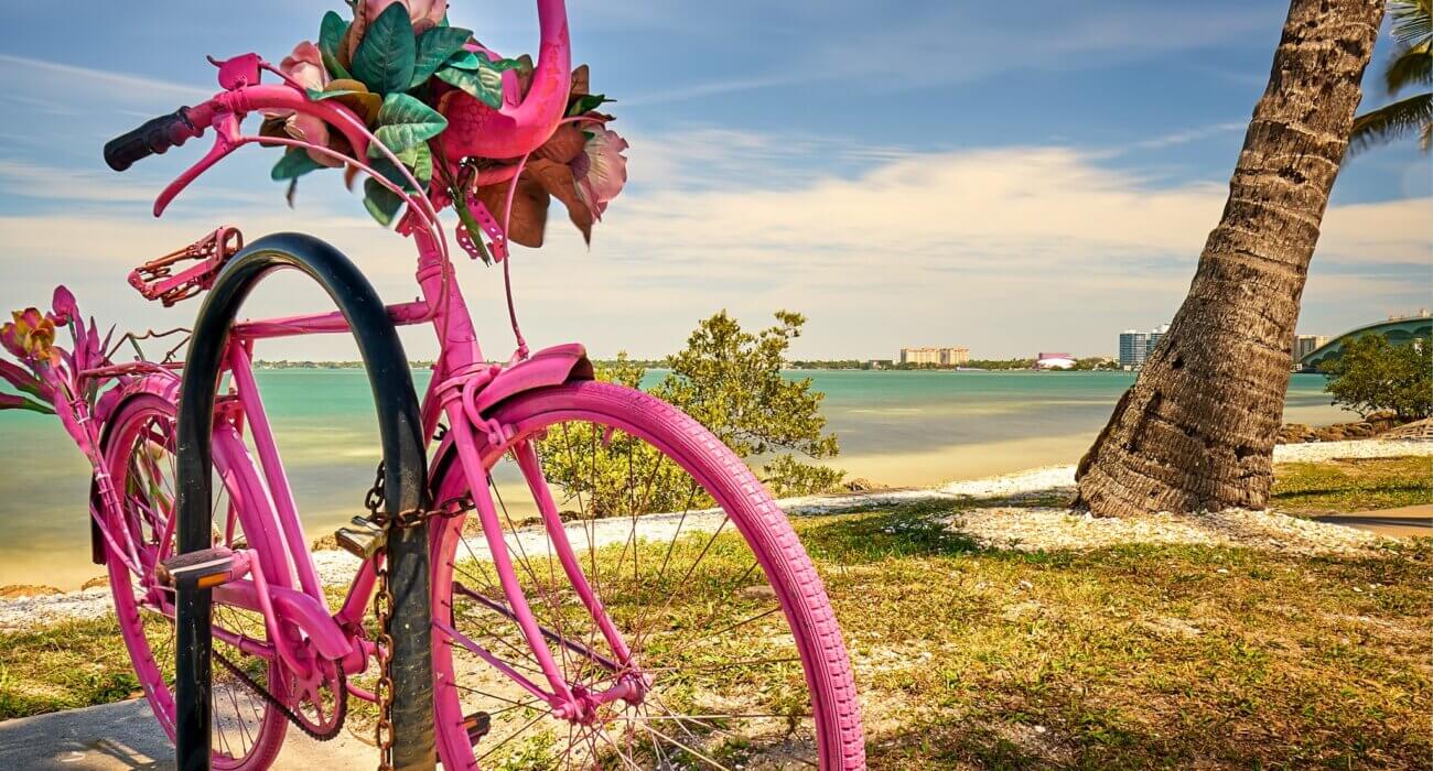 Late Summer New York and Orlando USA Combo - Image 2