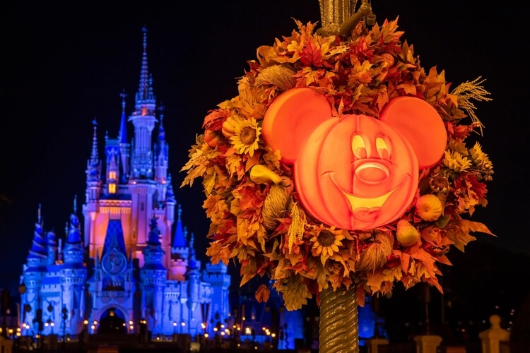 Halloween Hols Special to Orlando Florida USA - Image 1