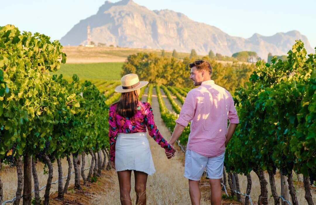 South Africa: Cape Town, Safari and Winelands - Image 3