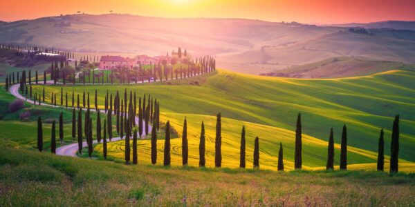 Classic Tuscany Escorted Tour – Summer Specials
