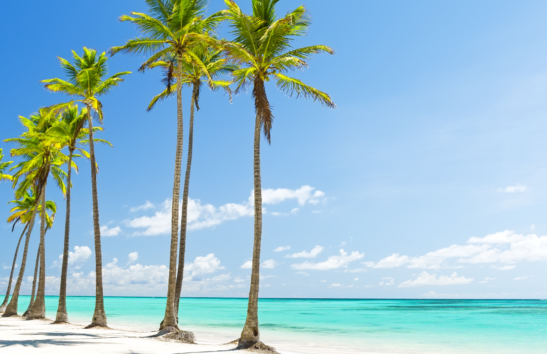 VEGAS LIGHTS & CARIBBEAN DELIGHTS - Image 4