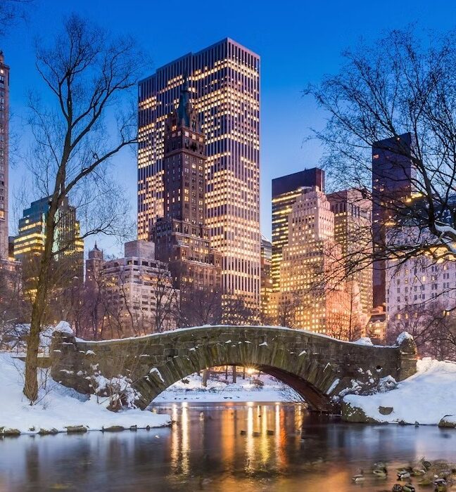 BUCKET LIST New York USA at Christmas - Image 2