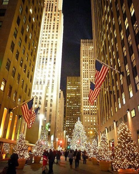 BUCKET LIST New York USA at Christmas - Image 5